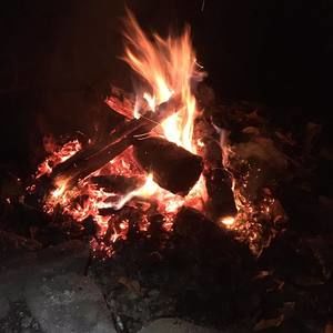 Meet your Posher, Dan